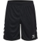 hummel hmlCORE 2.0 Shorts Herren