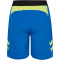 hummel hmlBLAZE Pro Trainingsshorts 8650 - skydiver S