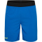 hummel hmlBLAZE Pro Trainingsshorts 8650 - skydiver S