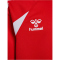 hummel hmlCORE 2.0 Hoodie Kinder 3946 - true red/white 116