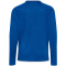 hummel hmlCORE 2.0 langarm Trikot Kinder 7691 - true blue/white 116