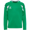 hummel hmlCORE 2.0 langarm Trikot Kinder 6129 - jelly bean/white 116