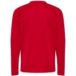 hummel hmlCORE 2.0 langarm Trikot Kinder 3946 - true...