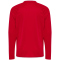 hummel hmlCORE 2.0 langarm Trikot Kinder 3946 - true red/white 116