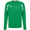 hummel hmlCORE 2.0 langarm Trikot 6129 - jelly bean/white XS