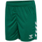 hummel hmlCORE 2.0 Shorts Damen 6131 - evergreen/white XS