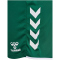 hummel hmlCORE 2.0 Shorts Damen 6131 - evergreen/white XS