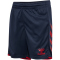 hummel hmlCORE 2.0 Shorts Kinder 7276 - marine/true red 116