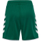 hummel hmlCORE 2.0 Shorts Kinder 6131 - evergreen/white 116