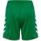 hummel hmlCORE 2.0 Shorts Kinder 6129 - jelly bean/white 116