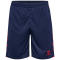 hummel hmlCORE 2.0 Shorts Herren 7276 - marine/true red S