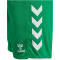 hummel hmlCORE 2.0 Shorts Herren 6129 - jelly bean/white S