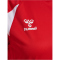 hummel hmlCORE 2.0 Trikot Damen 3946 - true red/white S