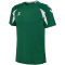 hummel hmlCORE 2.0 Trikot Herren 6131 - evergreen/white S