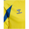 hummel hmlCORE 2.0 Trikot Herren 5139 - blazing yellow/true blue S