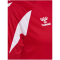 hummel hmlCORE 2.0 Trikot Herren 3946 - true red/white S