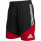 adidas DFB Deutschland Tiro Downtime Sweatshorts 2026 Herren