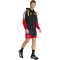 adidas DFB Deutschland Tiro Sweat Hoodie 2026 Herren
