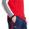 adidas FC Arsenal Langarmshirt 2025/26 Herren
