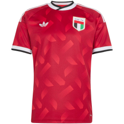 adidas Vereinigte Arabische Emirate Auswärtstrikot 2026 Herren