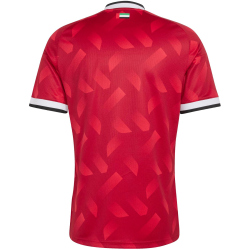 adidas Vereinigte Arabische Emirate Auswärtstrikot 2026 Herren