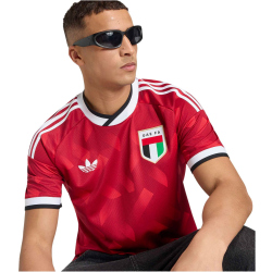 adidas Vereinigte Arabische Emirate Auswärtstrikot 2026 Herren