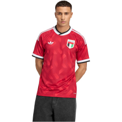 adidas Vereinigte Arabische Emirate Auswärtstrikot 2026 Herren