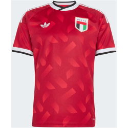 adidas Vereinigte Arabische Emirate Auswärtstrikot 2026 Herren