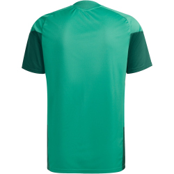 adidas FAF Algerien Trainingstrikot 2026 Herren