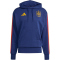 adidas RFEF Spanien DNA Hoodie 2026 Herren