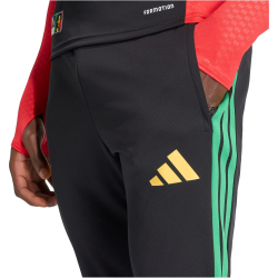 adidas JFF Jamaika Tiro Trainingshose 2026 Herren