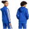 adidas FIGC Italien DNA Hoodie 2026 Kinder