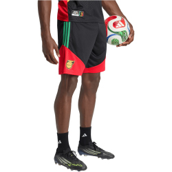 adidas JFF Jamaika Tiro Trainingsshorts 2026 Herren