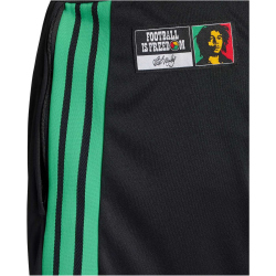 adidas JFF Jamaika Tiro Trainingsshorts 2026 Herren