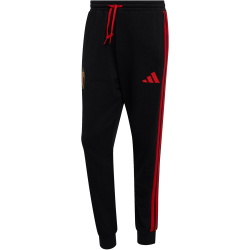 adidas RBFA Belgien DNA Trainingshose 2026 Herren