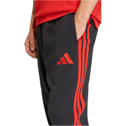adidas RBFA Belgien DNA Trainingshose 2026 Herren