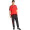 adidas RBFA Belgien DNA Trainingshose 2026 Herren