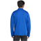 adidas Entrada 26 langarm Trainingsshirt Herren