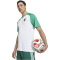 adidas FAF Algerien Heim Aufwärmshirt 2026 Herren