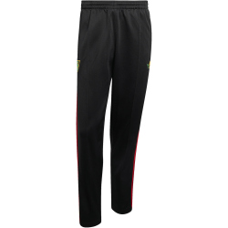 adidas JFF Jamaika Trainingshose 2026 Herren