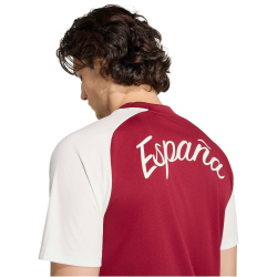 adidas RFEF Spanien Auswärts Aufwärmshirt 2026 Herren