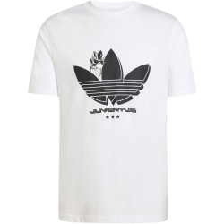 adidas Juventus Turin Seasonal Graphic T-Shirt 2025/26 Herren