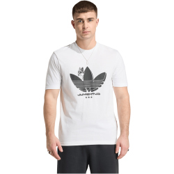 adidas Juventus Turin Seasonal Graphic T-Shirt 2025/26 Herren