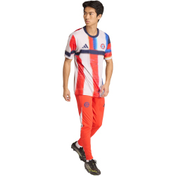 adidas FC Bayern München Aufwärmshirt 2025/26 Herren