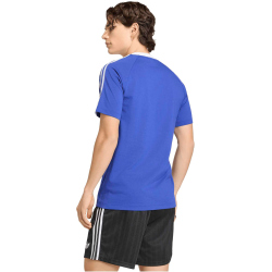 adidas AFA Argentinien T-Shirt 2026 Herren