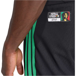adidas JFF Jamaika Tiro Präsentationshose 2026 Herren