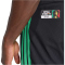 adidas JFF Jamaika Tiro Präsentationshose 2026 Herren
