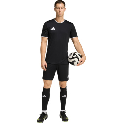 adidas Entrada 26 Trainingsshorts Herren