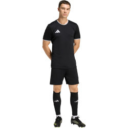 adidas Entrada 26 Trainingsshorts Herren