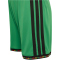 adidas JFF Jamaika Heimshorts 2026 Kinder